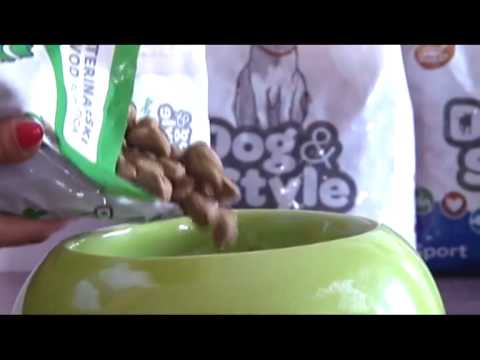 Video: Hranjenje Pasa Sa Dijabetesom - Nutrition Nuggets Dog
