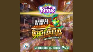 Pelotero a la Bola (En Vivo) - Marimba Orquesta Indiana