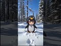 GuguGaga Penguin - Cutest Moments That Will Make You Smile