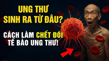 Ung Thư Không Phải Là Do Gen! Đây Mới Là THỦ PHẠM THẬT SỰ… Cách làm“ CHẾT ĐÓI” Tế Bào Ung thư!