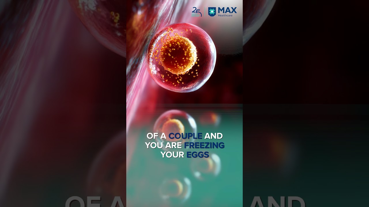 Egg Freezing vs Embryo Freezing: Which Option Is Right for You?