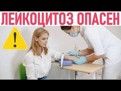 ЛЕЙКОЦИТОЗ | Почему повышены лейкоциты и что с этим делать