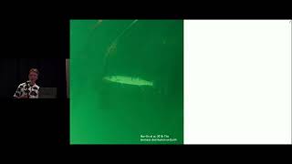 Download Lagu CCN 2022 Keynote \u0026 Fireside Chat 3 MP3