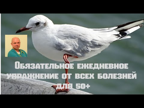 Обязательное ежедневное упражнение от всех болезней для 50+#утренняягимнастика