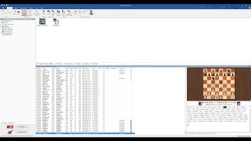 ChessBase 14 - Using Mega