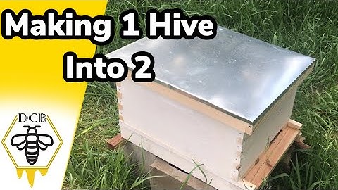 Making a Hive Split to Prevent Swarming