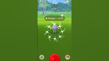 Shiny✨ Wooper Catch in Pokemon Go #shots #short #shortsfeed #shortfeed #pokemongo #pokemon #shiny