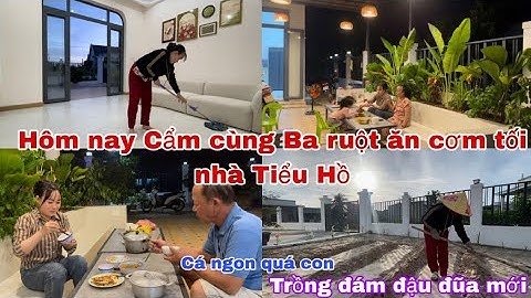 #43 Hôm nay Cẩm cùng Ba ruột ăn cơm tối nhà Tiểu Hồ, Cơm ngon quá, trồng thêm đám đậu đũa mới.