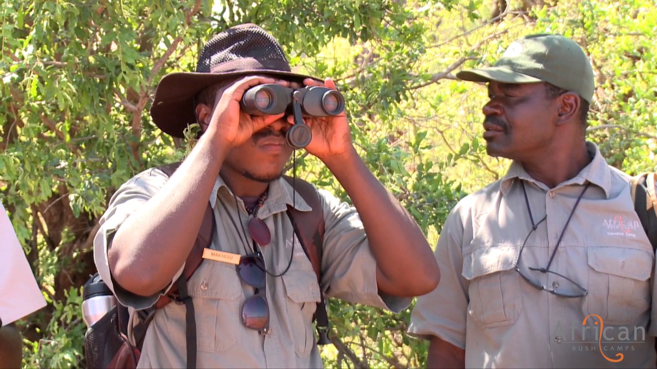 Guide Training Workshop at Bumi Hills Safari Lodge 2016: Brief Look