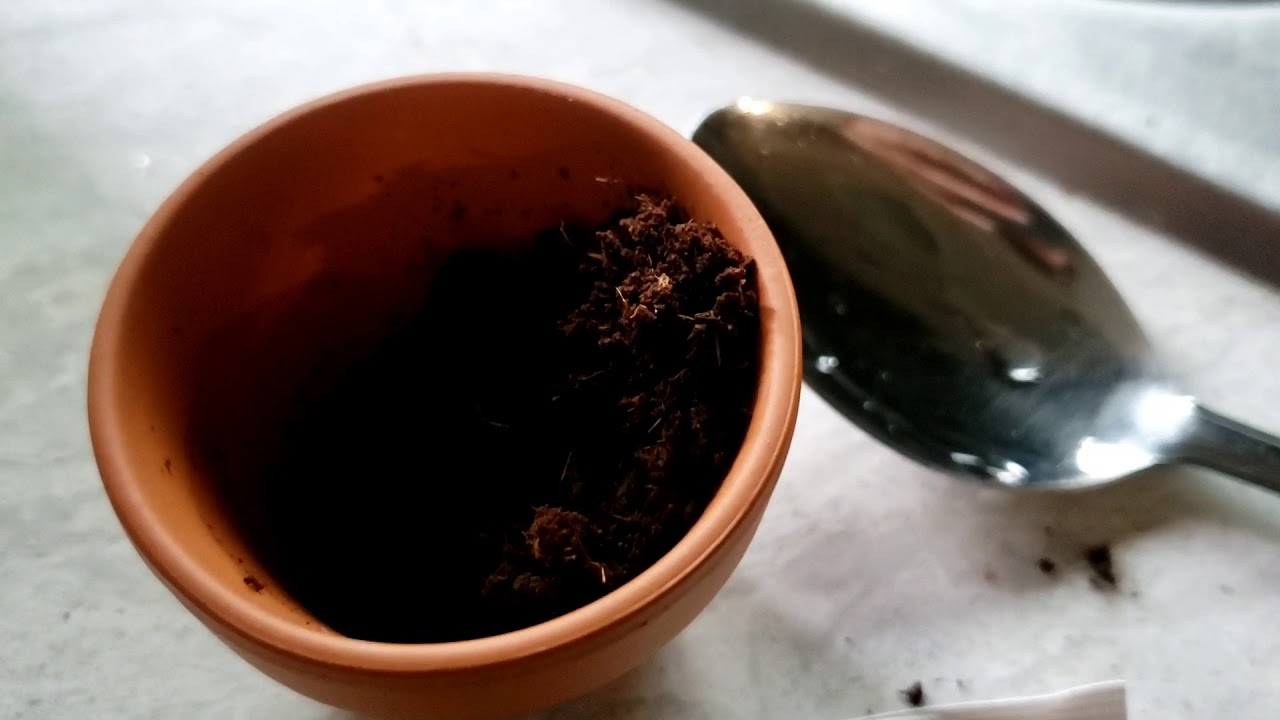 Buzzy grow kit YouTube