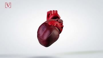 Google Algorithms Can Now Predict Heart Disease
