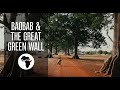 Baobab & The Great Green Wall of Africa – Aduna