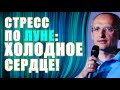 СТРЕСС ПО ЛУНЕ: холод на сердце к близкому человеку. Торсунов О.Г.