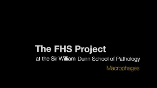 FHS Project macrophages