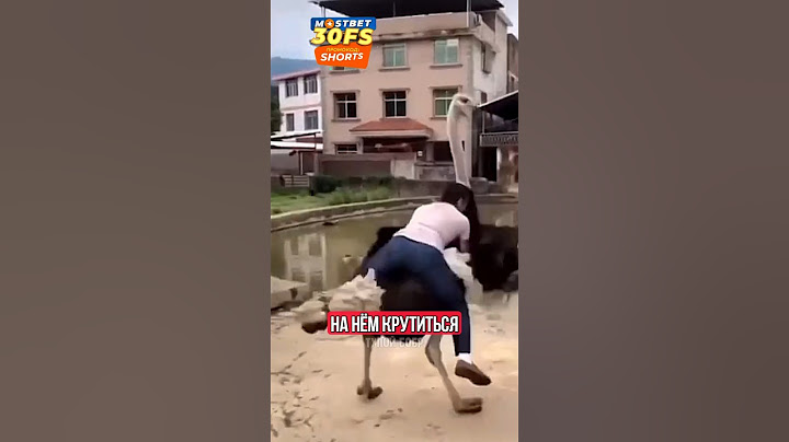 🤣КАК ЛЕГКО ПРИРУЧИТЬ СТРАУСА!