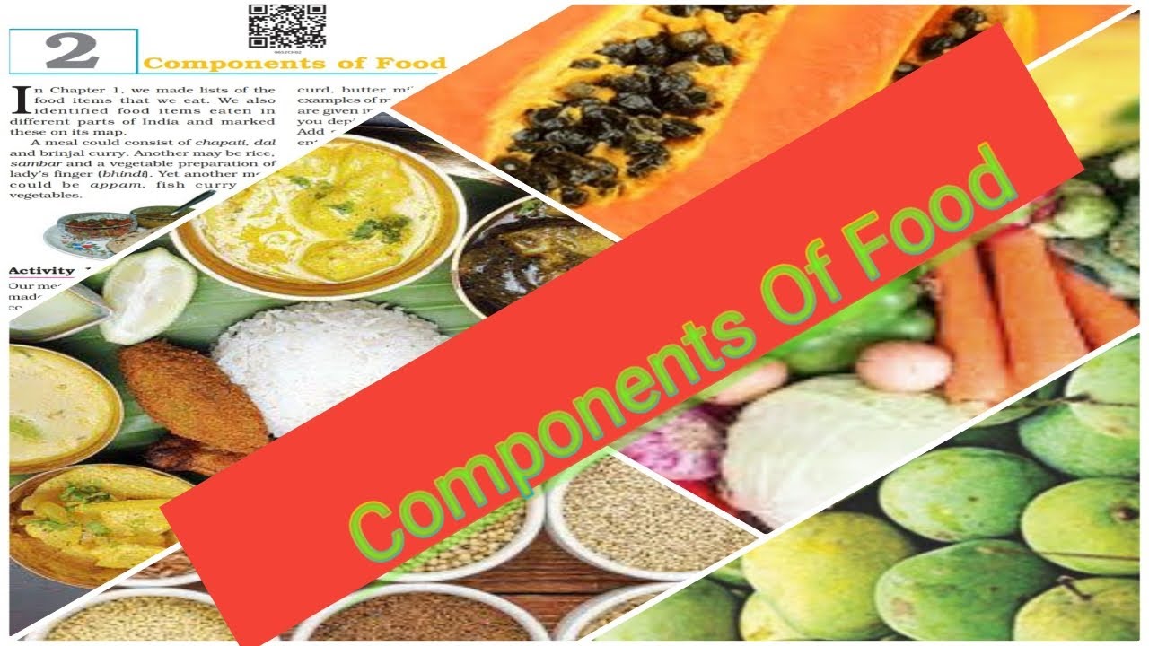components-of-food-youtube