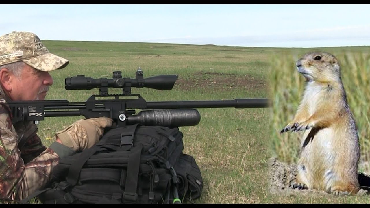 Airgun Hunting FX Impact Airgun Prairie Dog Hunt YouTube