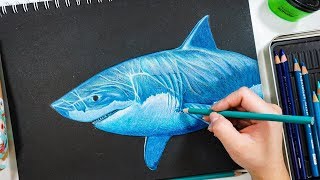 Drawing A Great White Shark w/ Prismacolor Color Pencils