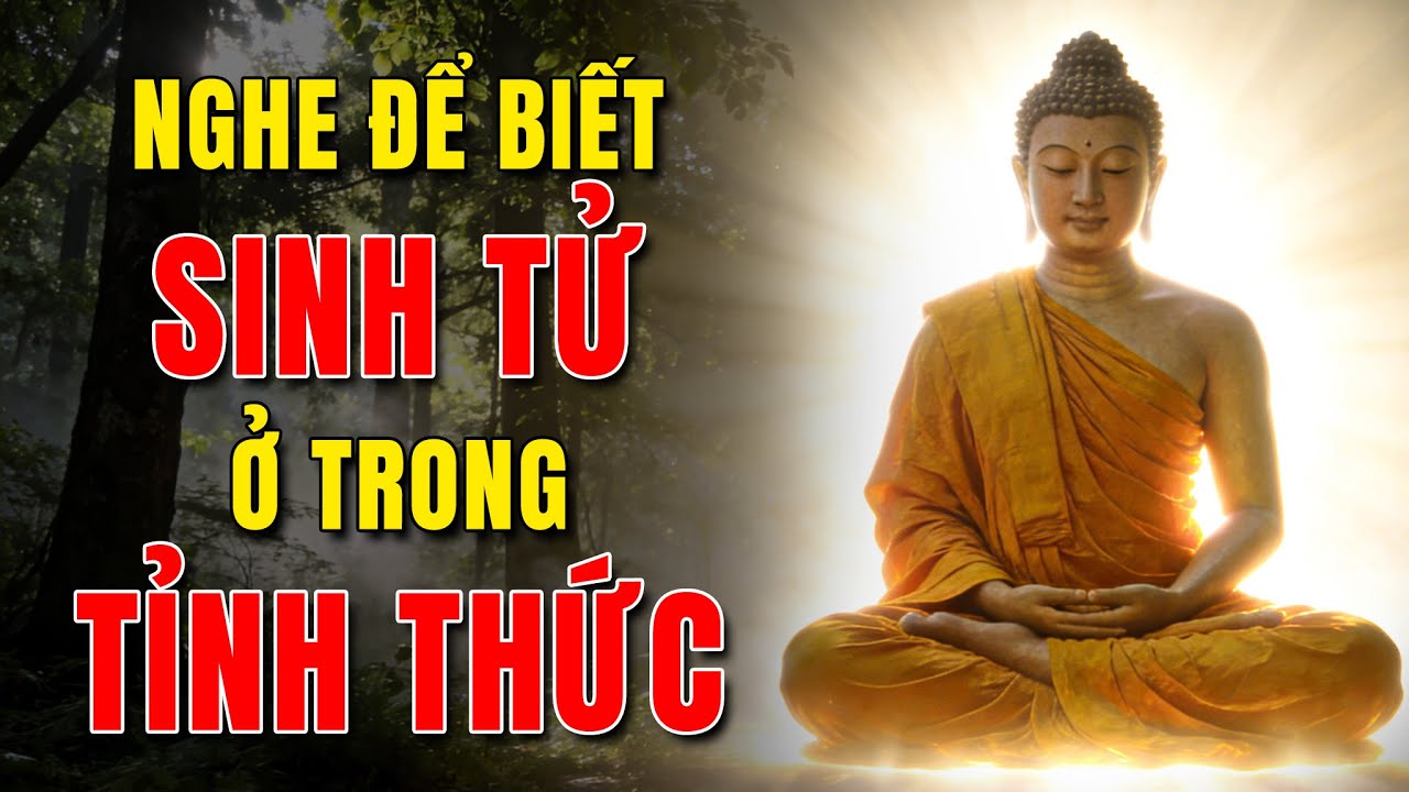 Nghe Để Hiểu Về Sinh Tử Và Cái Nhìn Tỉnh Thức Về Sinh Tử | Kiếp Trầm Luân
