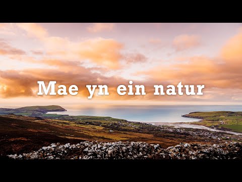 Mae yn ein natur | Nodyn o Sir Benfro, Cymru | Teithio Haf y DU