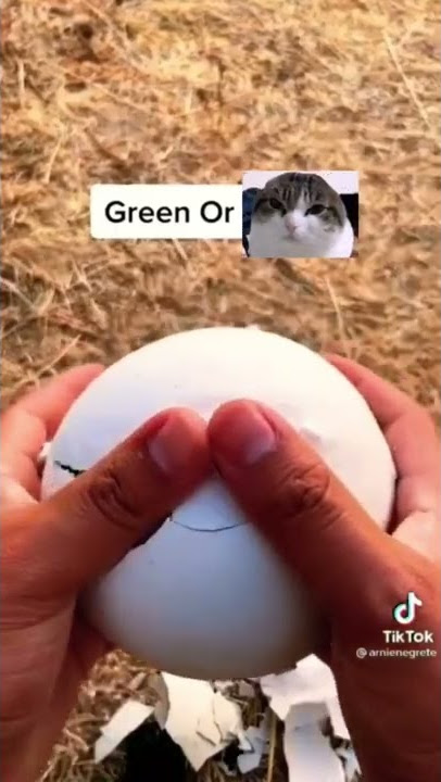 Green or wawa cat