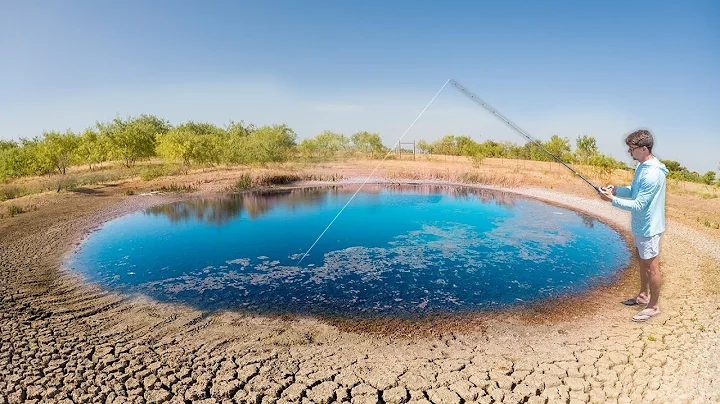 Fishing a Desert Puddle INFESTED With Bass (Texas ...