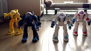 Man ir tirdzniecības robots