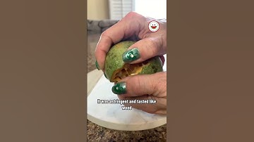 What is a bael fruit