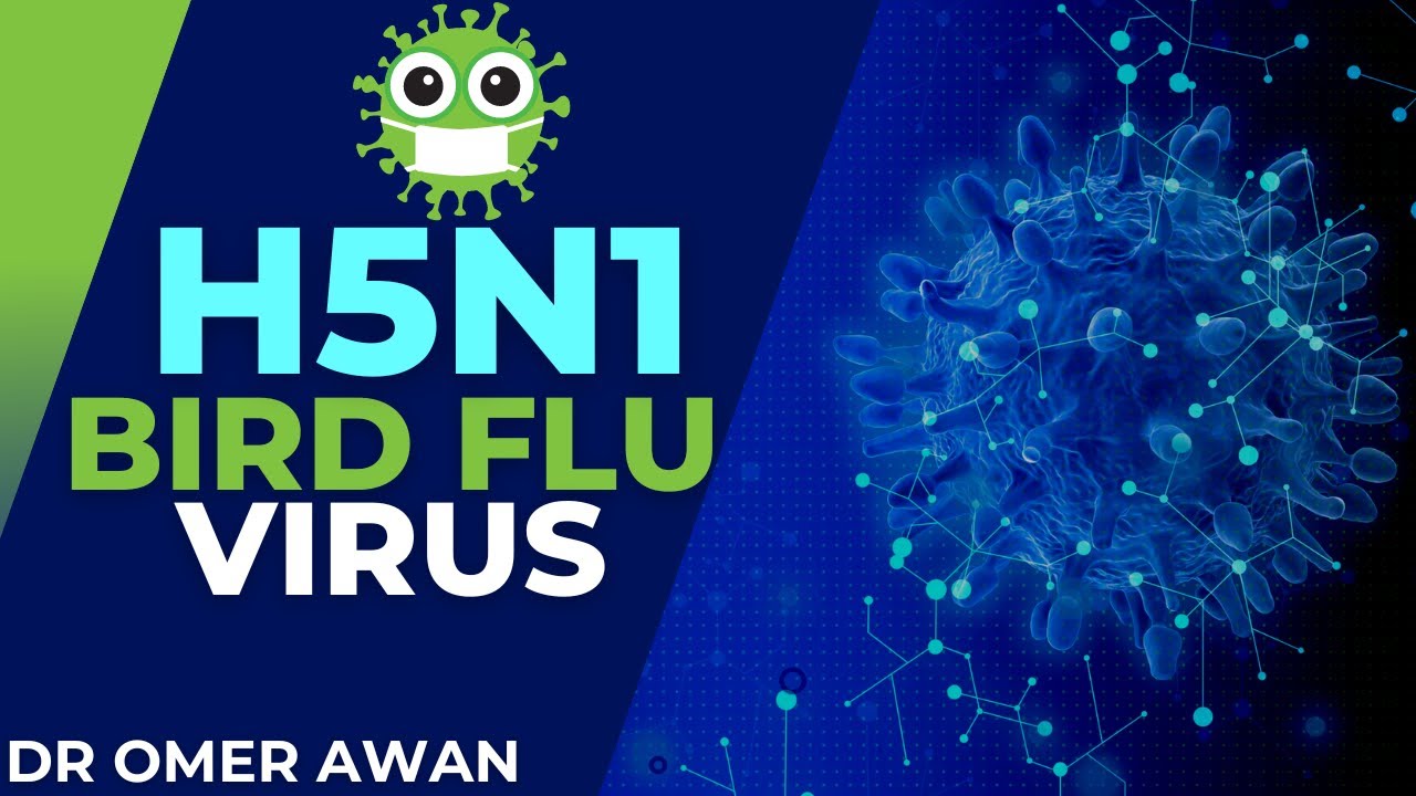 H5N1 Bird Flu- Should We Be Worried? A Doctor Tells All - YouTube