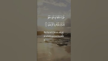 من سورة فصلت بصوت القارئ محمد امين