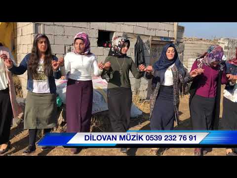 HAVİN DENGBEJ & HOZAN YAHYA ağır halay kısa DİLOVAN MÜZİK