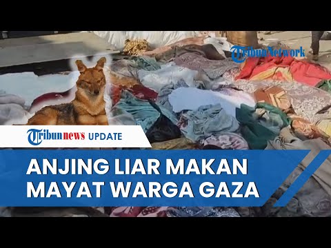 Video: Apakah sepanduk dan dengan apa ia 