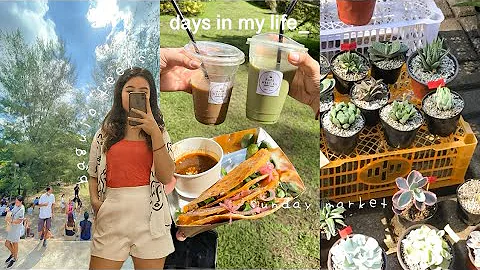 days in my life  | sunday market, waking up early,...