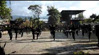 Psht Timor Leste Komesa Halo Fali Atvidade Ona