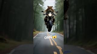 🐅#pet#shorts#short video #short feed