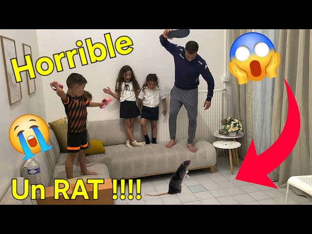 Notre pire cauchemar à la maison !!! On va quitter la maison !!