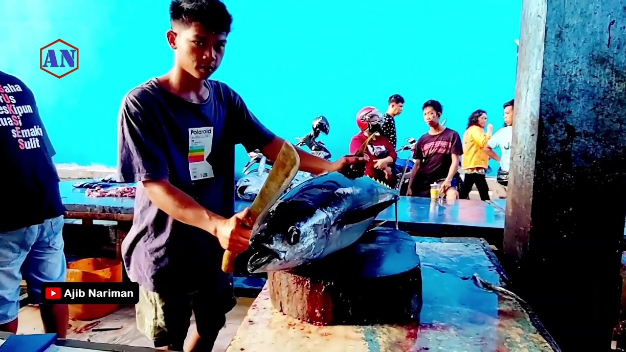 Cutting Yellowfin Tuna ‼️ Bro Dandi's Expertise Cut large tuna with a