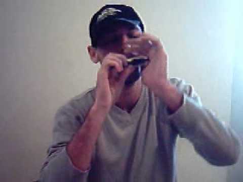 Take 5 (Paul Desmond) harmonica by Gustavo Carneiro