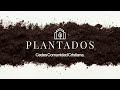 Plantados en nuestro hogar | CEDES