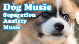dog music to calm them down  Relaxing Dog Music, Calm Music,Music for dogs