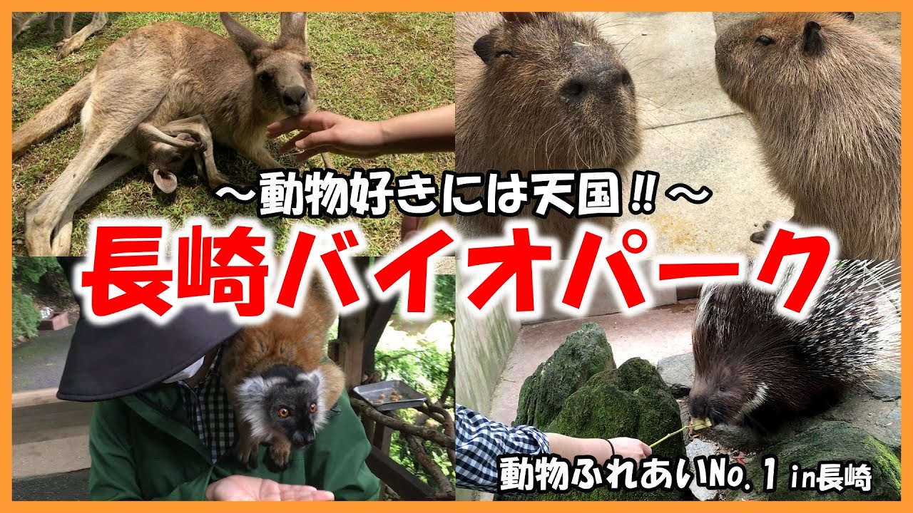 【長崎バイオパーク】動物ふれあいNo 1in長崎～動物好きには天国‼～