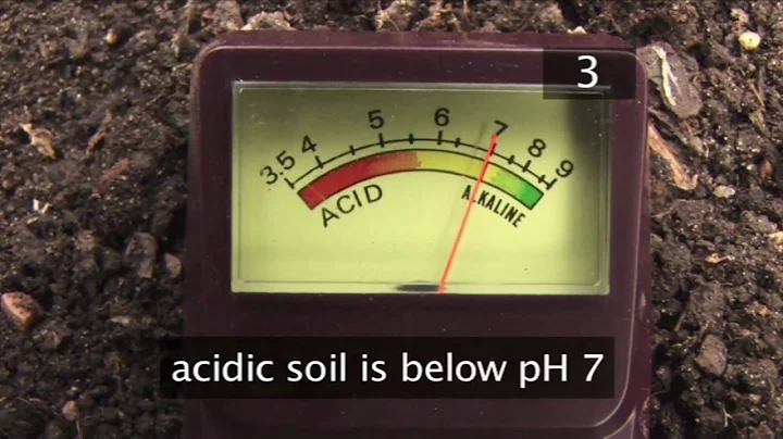 How To Test Soil PH