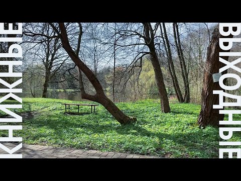 книжные выходные с фэнтези про драконов - книжный влог