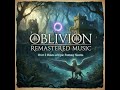 Elder Scrolls IV: Oblivion Remastered music #music #rpg #elderscrolls