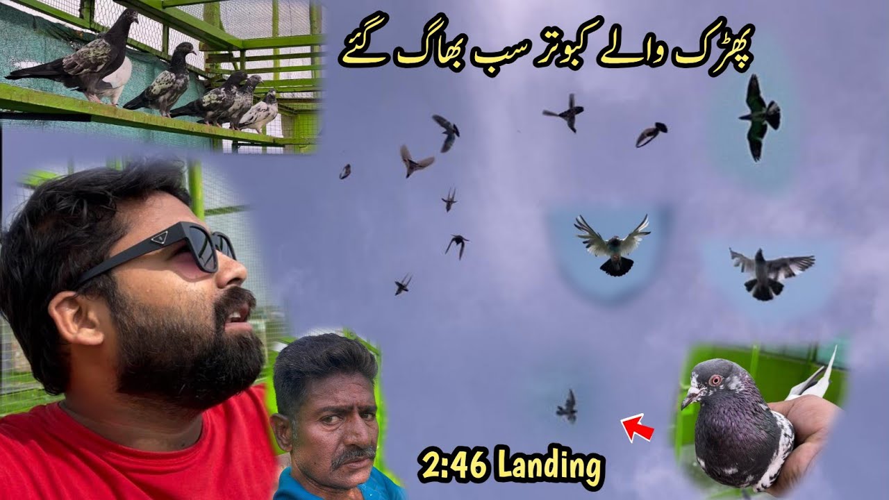 Pharak Wala Sab Kabootar Phatay Pay 