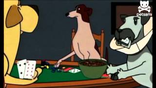 Poker Night - Wild Card