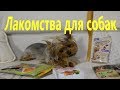 Лакомства для собак. Йорки Мишель и Моника