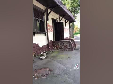 Трактир У озера Брест Парк им. 1-го Мая #shorts Brest Belarus - YouTube