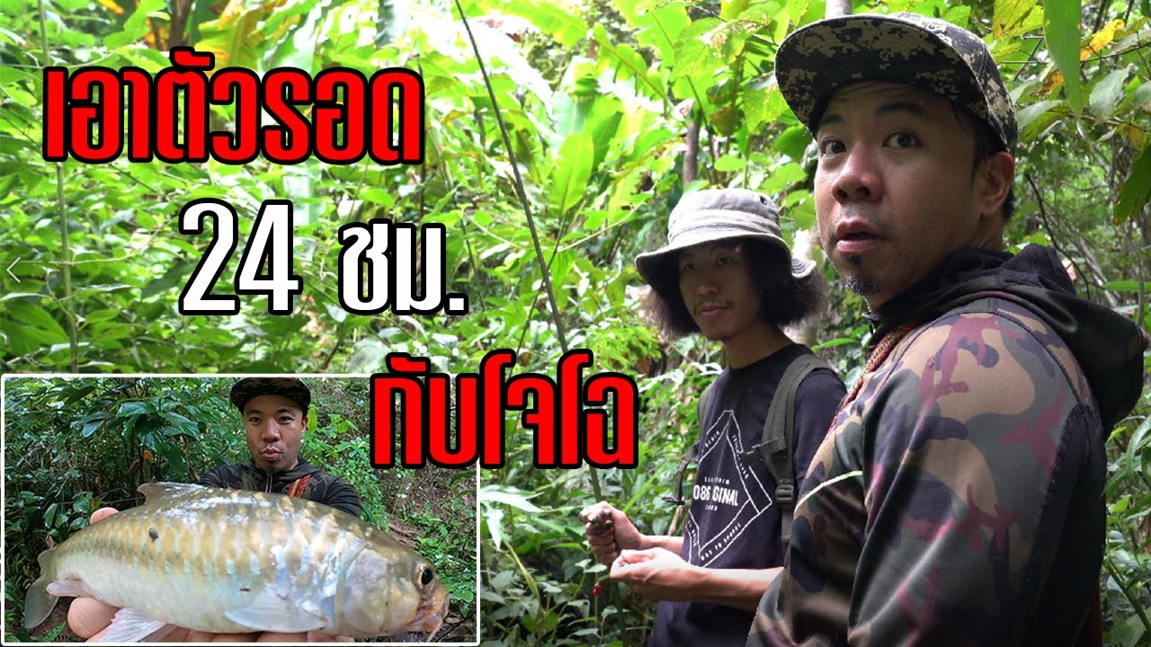 เอาตัวรอดกลางป่า! หาอาหารกินเอง.. กับโจโฉใน 24 ชม. !! [หัวครัวทัวร์ริ่ง] EP.113