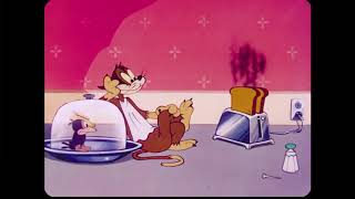 The Stupidsious Cat 1947 Clic Mgm Hanna-Barbera Cartoon Restored In Hd